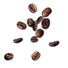 装飾：コーヒー豆